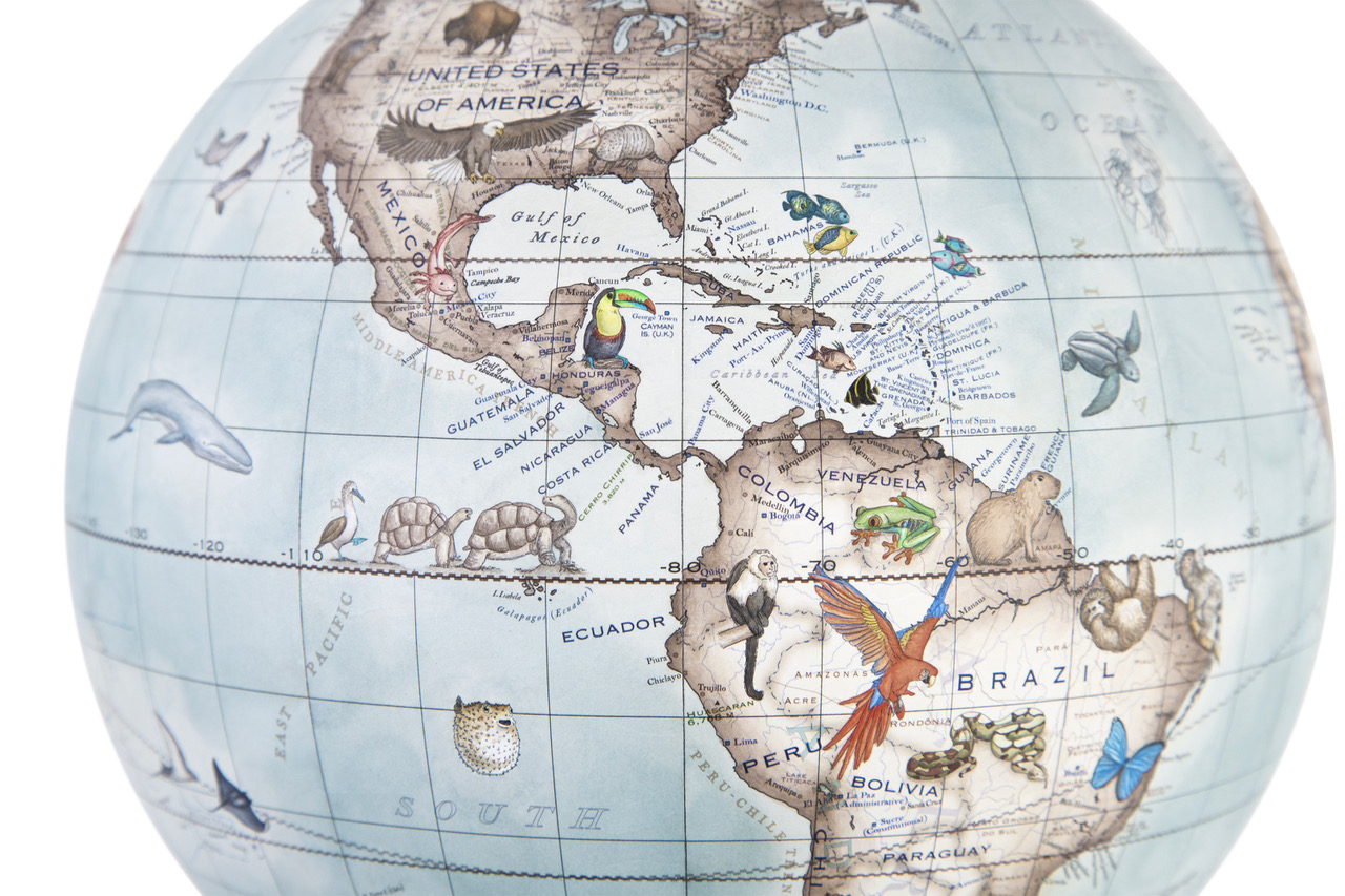 Wenge Wood - Mini Albion Desk Globe - Bellerby & Co Globemakers